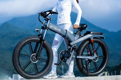 售价10000元起 国内厂商发布越野电动自行车 配备空气悬架